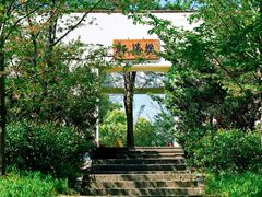 -上海滨江森林公园