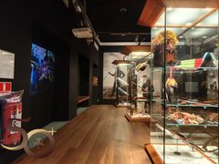 -丹麦国家博物馆