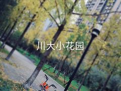 -四川大学(华西校区)