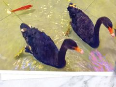 -首创奥特莱斯(北京店)