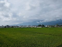 -喜林苑·稻田餐厅(品相府店)