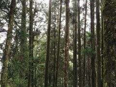 -优游吧斯邹族文化部落