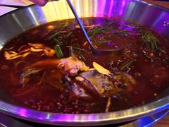 -红牌美蛙鱼头火锅(万辉国际广场店)