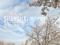 -静安雕塑公园