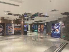-上海金逸影城(静安大悦城店（原新恒星影城）)
