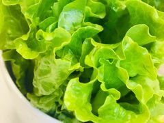 -古乐牛香·鲜牛肉牛杂火锅(新区店)