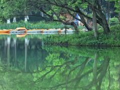 -西溪国家湿地公园