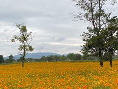 -良渚古城遗址公园