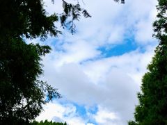-山王坪喀斯特国家生态公园