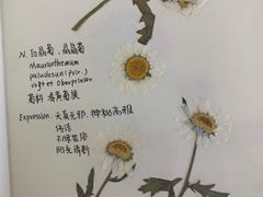 -知物癖(牛王庙店)