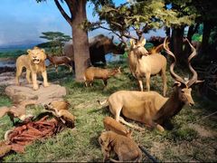 -国家自然博物馆