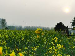 -汉长安城未央宫国家考古遗址公园