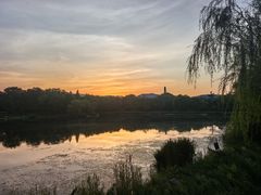 -北坞公园