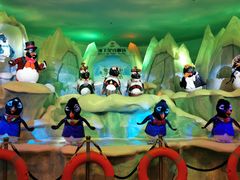 -帝企鹅自助餐厅•儿童岛•真企鹅(长隆企鹅酒店)