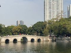-荔湾湖公园