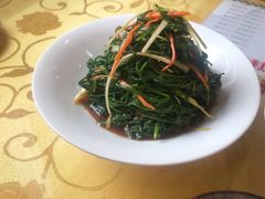 拌沙葱-新疆巴州金丝特餐厅(大钟寺店)