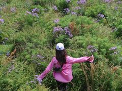 -白草畔自然风景区