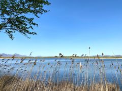 -野鸭湖国家湿地公园