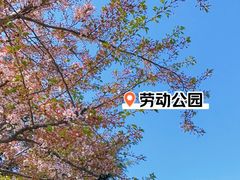 -劳动公园
