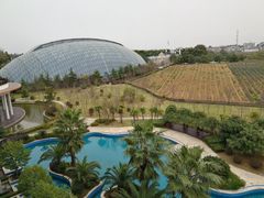-洪湖悦兮半岛国际温泉度假村