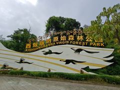 -西双版纳原始森林公园
