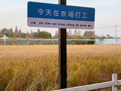 -金稼园·金平湖农家菜
