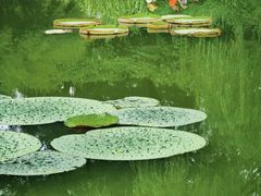 -国家植物园南园