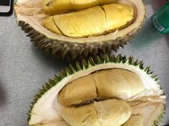 -都念榴莲·城市榴莲