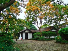 -西溪国家湿地公园