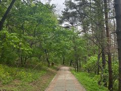 -帽儿山国家森林公园