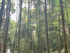 -凤栖山
