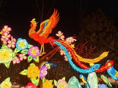 -龙湖星悦荟(颐和店)