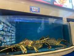 -阳光海鲜城(太仓万达店)