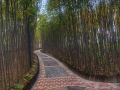 -天津东丽湖风景区