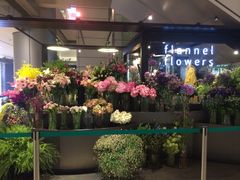 -Flannel Flowers(IFC)