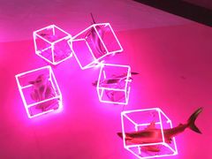 -好旺角齐市鲜切牛自助烤肉(农林五道街总店)