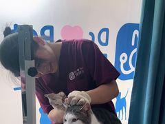 -宠颐生宠物医院·犬猫全科·皮肤科(商业街店)