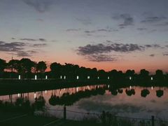 -明珠湖天鹅苑·农家菜馆