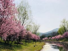 -石塘人家