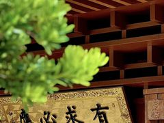 -深圳仙湖植物园