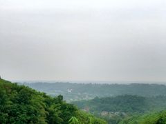 -川西竹海景区