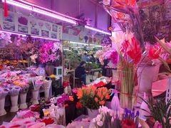 -花鸟鱼虫鲜花绿植市场(玉泉路店)