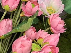 -金茂览秀城