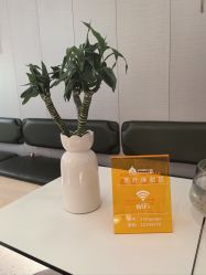 -水沐莲清瑜伽·普拉提