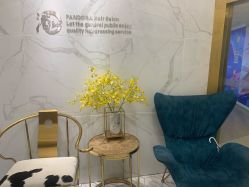 -潘多拉Hairsalon
