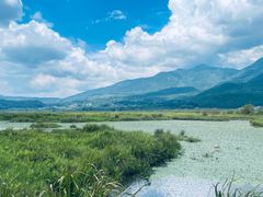 -腾冲北海湿地