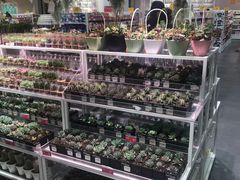 -KKV(深圳宏发大仟里店)