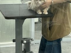 -爱洗澡的猫(天河路店)