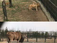 -宿豫区运河湾森林动物园