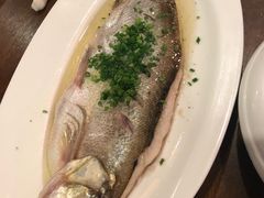 -新木器时代餐厅(太湖新天地店)